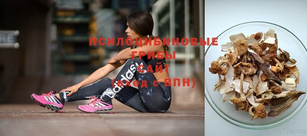 гидропоника Покров