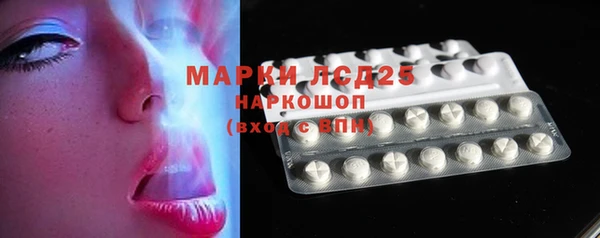 мяу мяу мука Покачи